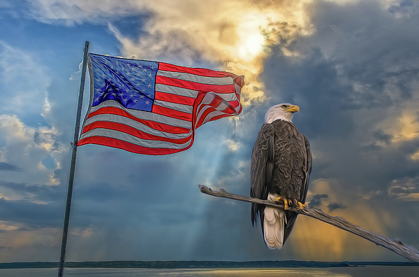 Steve Rich - Painted USA Flag and Eagle