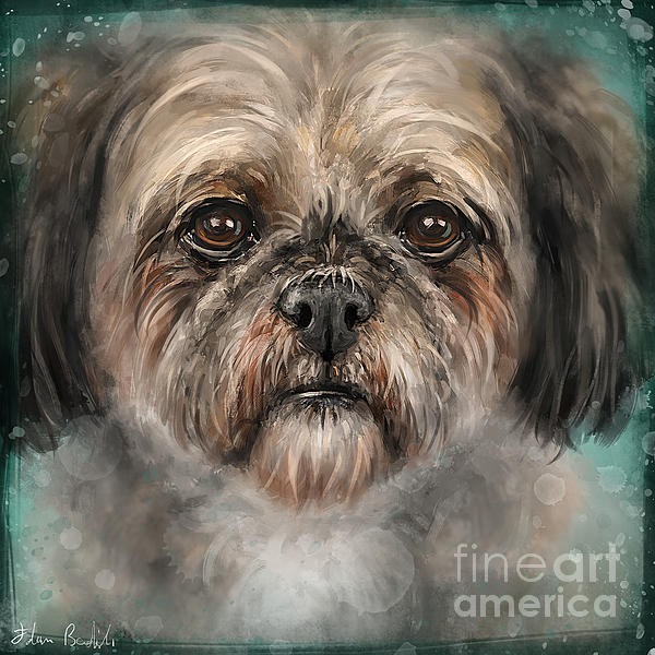 Shih Tzu Dog - Jigsaw Puzzle