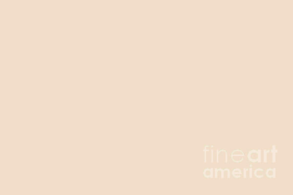 Pale Apricot Orange Solid Color Pairs Peach DEC710 - 2024 Trending Shade  Hue Beach Towel by Simply Solids - Fine Art America