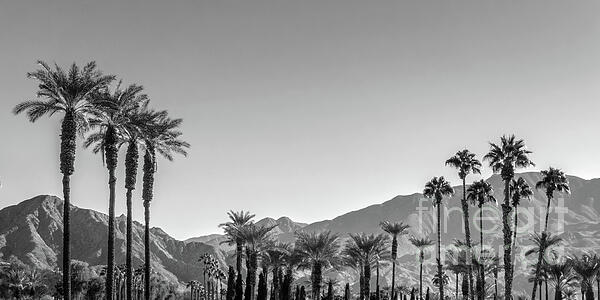 Delphimages Photo Creations - Palm Springs panorama, California, black and white