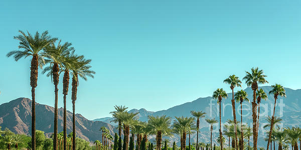Delphimages Photo Creations - Palm Springs panorama, California