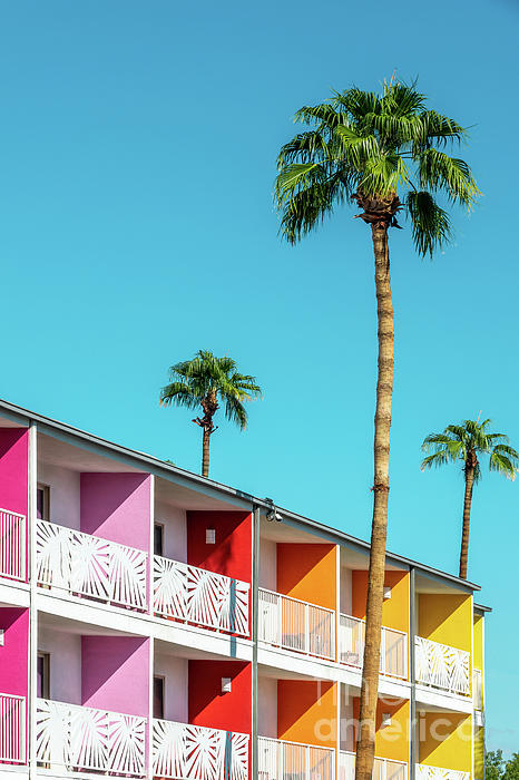 Delphimages Photo Creations - Palm Springs, Saguaro hotel colorful architecture