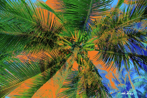 Sky Digital+art