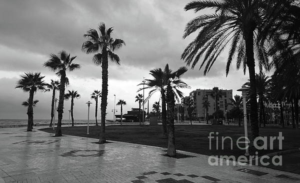Paul Boizot - Palm tree seafront on a stormy day, Malaga