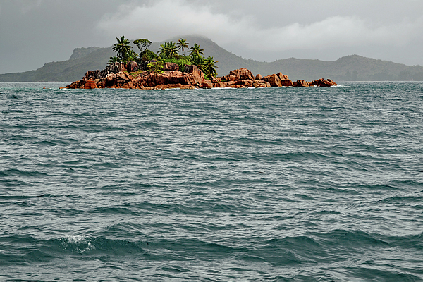 Eckart Mayer Photography - Palm tree pirate treasure island St. Pierre Seychelles