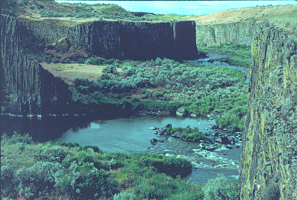 Bedford Chandler - Palouse River and Canyon