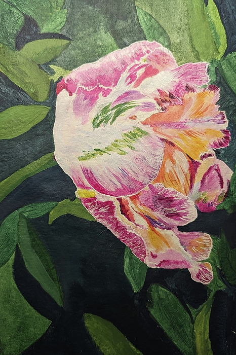 Nature Paintings