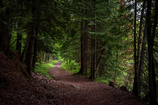John Twynam - Path at Egan Chutes Provincial Park, Ontario