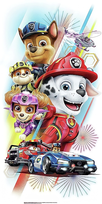 Vinyl and stickers ryder the paw patrol