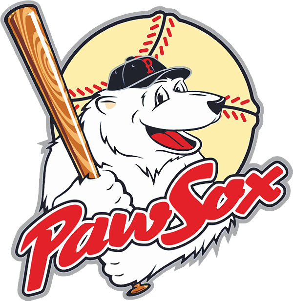 Paw Sox T-Shirt by Ann Cardona - Pixels