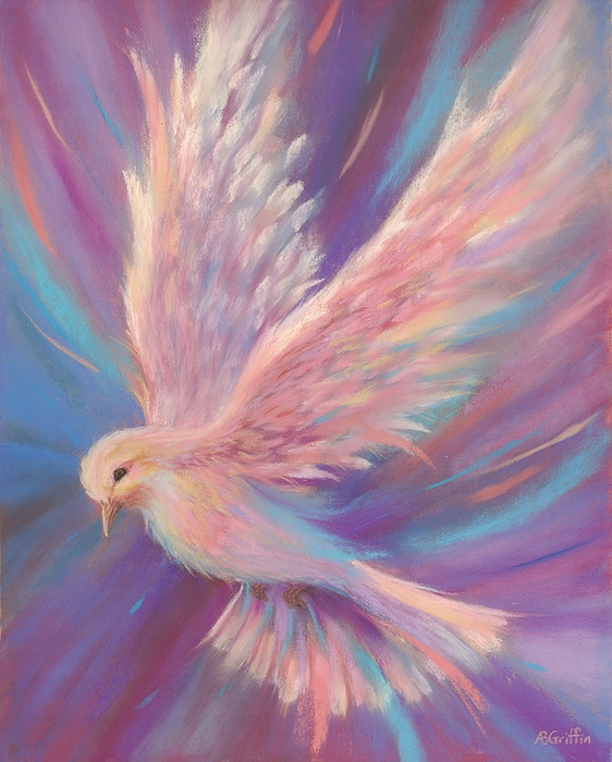 Allison Griffin - Peace - Dove in Soft Pastels 