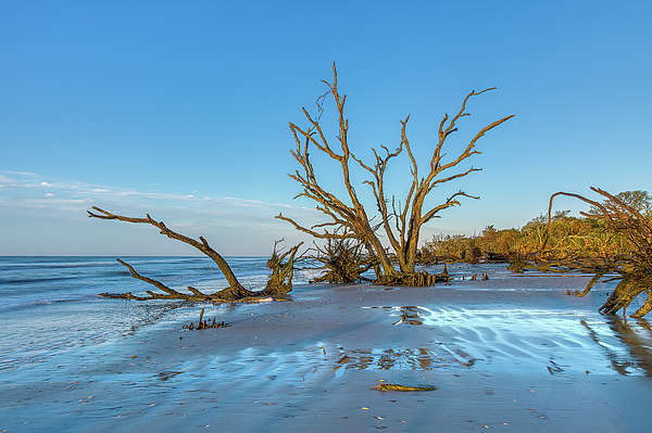 Steve Rich - Peaceful Escape into Nature - Botany Bay