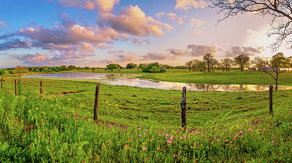 Country Art