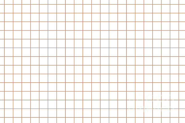 Peach White Grid Pattern Pairs 2023 COTY Desert Carnation 2005-7C ...