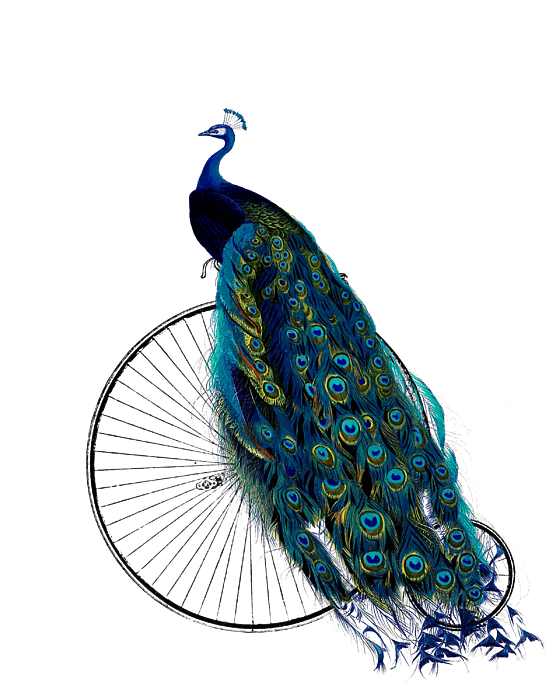 Peacock On A Bicycle, Home Decor Jigsaw Puzzle by Madame Memento - Fine Art  America