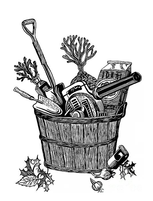 https://images.fineartamerica.com/images/artworkimages/medium/3/pen-and-ink-drawing-bucket-of-gardening-supplies-expressionistic-effect-rose-santuci-sofranko.jpg