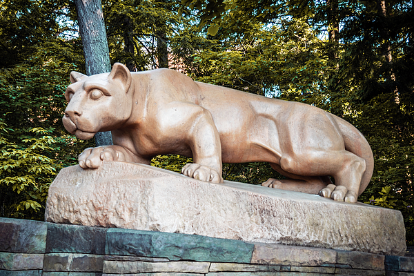 Penn State Nittany Lions Bath & Kitchen in Penn State Nittany Lions Team  Shop 