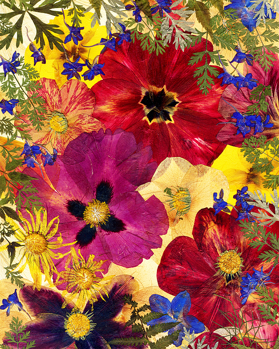 Womens Gift, Pressed Flower Art, Dried Flowers Art, Floral Print