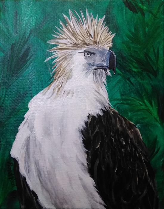 Philippine Eagle Greeting Card by RoseWood