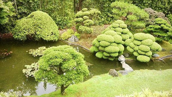 Masha Batkova - Photography Japanese Tea Garden 10