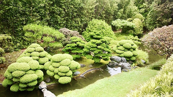 Masha Batkova - Photography Japanese Tea Garden 11
