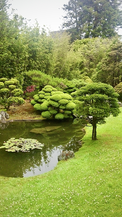 Masha Batkova - Photography Japanese Tea Garden 13