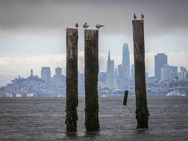 Skyline Art