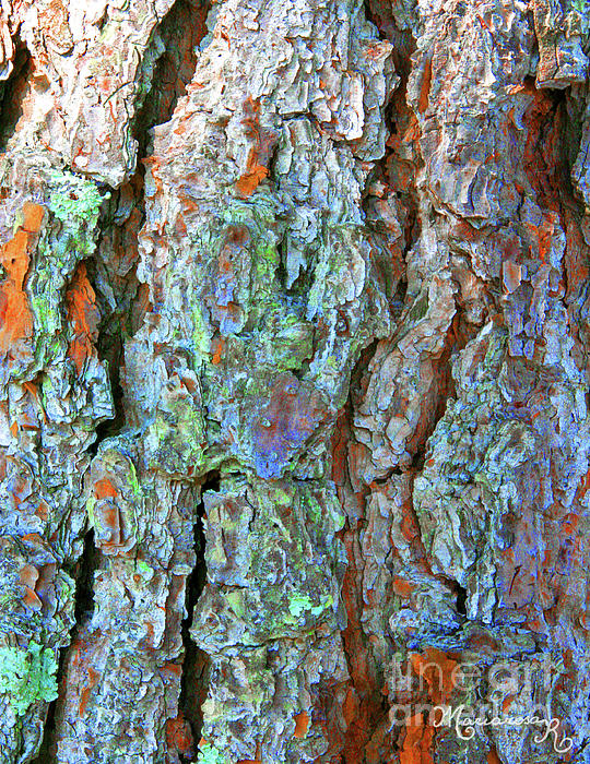 Mariarosa Rockefeller - Pine Bark