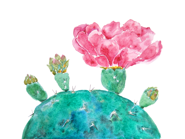 https://images.fineartamerica.com/images/artworkimages/medium/3/pink-cactus-flower-watercolor-color-color-transparent.png