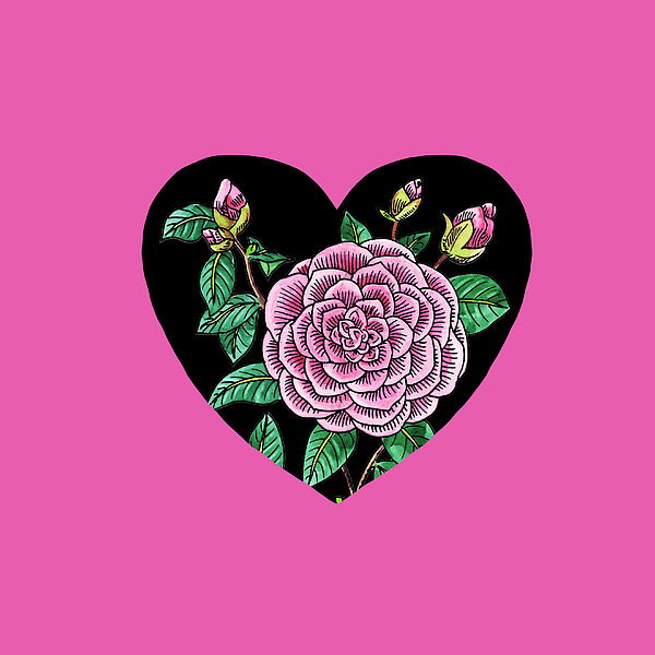 Irina Sztukowski - Pink Camellia Flower Heart Watercolor Art 
