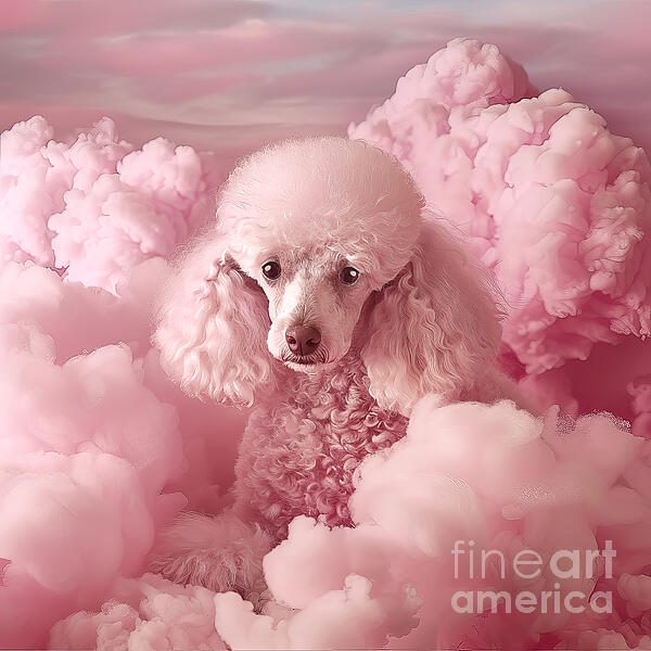 Elisabeth Lucas - Pink Cloud Poodle