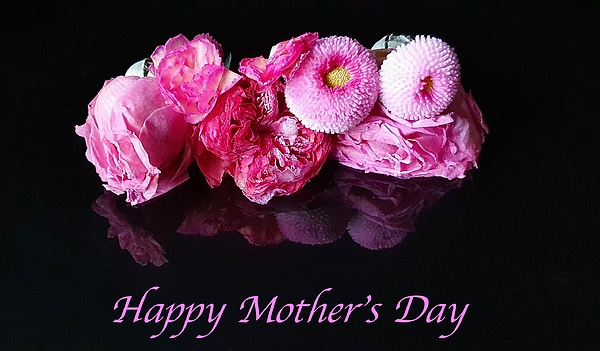 E Hollender - Pink flowers for Mothers Day
