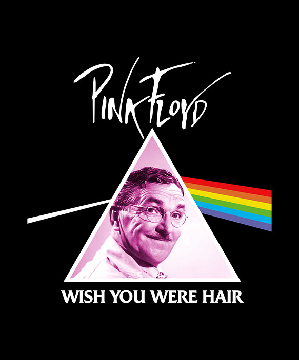 Notorious Artist - Pink Floyd The Barber Floyd Lawson Wish You Were Hair