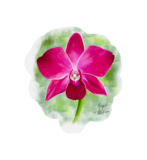 Aarti Bartake - Pink Orchid 