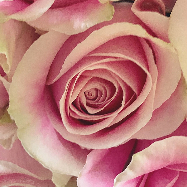 Delicate Art