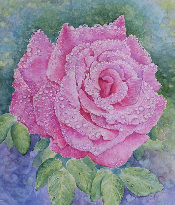 Elizabeth Kennen - Pink Rose with Raindrops