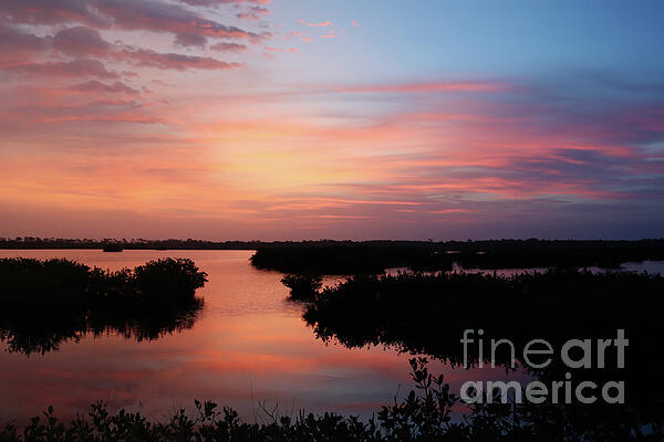 Brenda Harle - Pink Sunrise Over The Mangroves