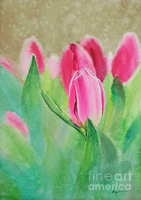 Anjuna Sainath - Pink Tulips