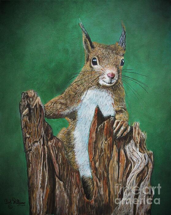 Bob Williams - Pistachio-The Squirrel
