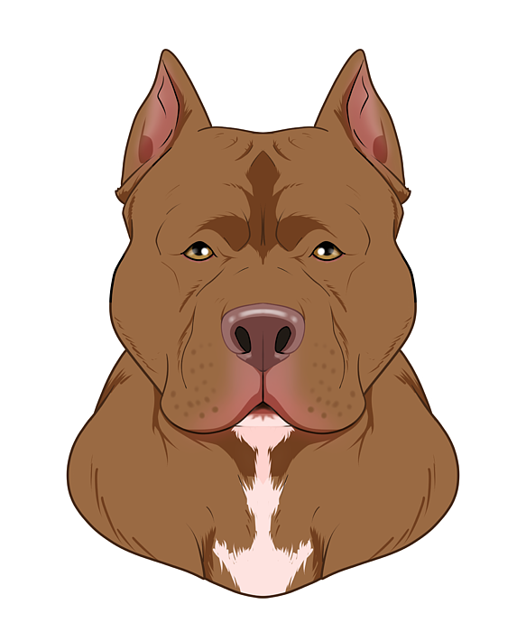 https://images.fineartamerica.com/images/artworkimages/medium/3/pitbull-lover-i-dog-lover-i-pitbull-maximus-designs-transparent.png