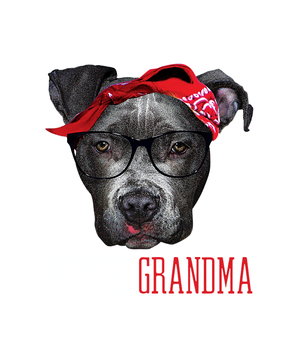 https://images.fineartamerica.com/images/artworkimages/medium/3/pittie-grandma-pitbull-granny-dog-lovers-grandmother-women-zachar-carol-transparent.png