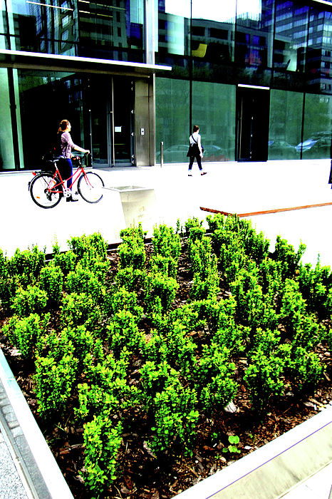 Building Photographs
