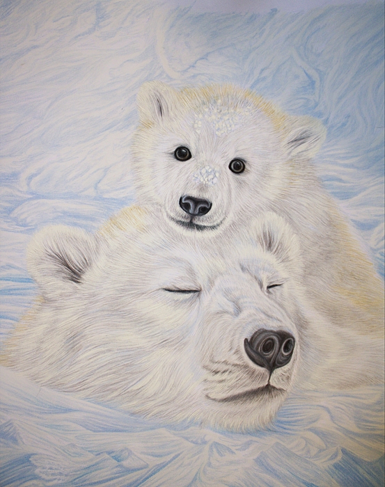 Deidra Smith - Polar Bear Cub Snuggles with Sleeping Mom