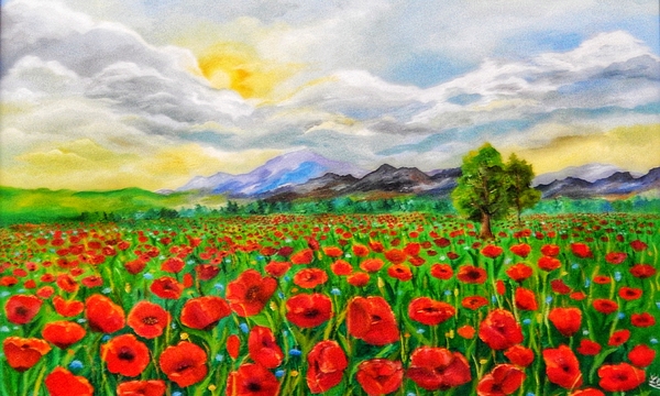 Livia Copaceanu - Poppies sunset field