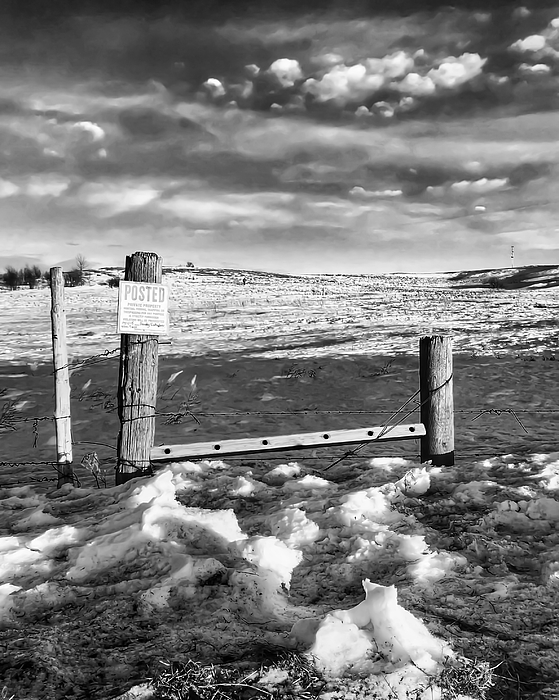 Spring Photographs