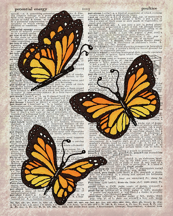 Irina Sztukowski - Potential Energy Of Butterfly Effect Dictionary Page Art V