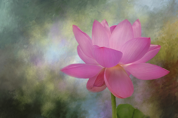 Flower Digital+art