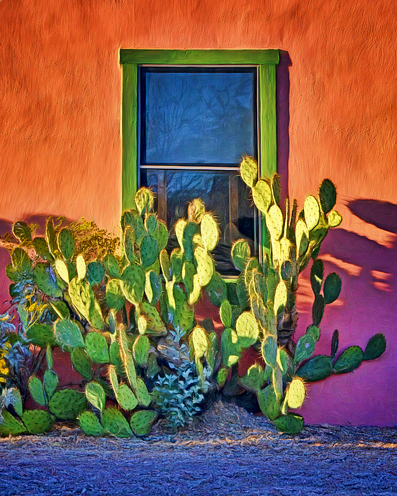 Nikolyn McDonald - Prickly Pear Cactus and Window - Barrio Historico - Tucson