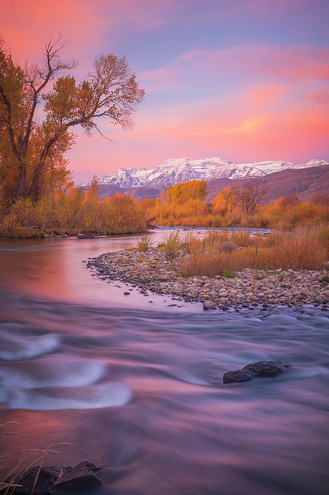 Wasatch Light - Provo Riverbend in Dawn Light