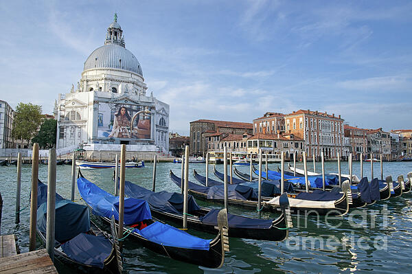 Paul Quinn - Venice Grand Canal overlooking the Basilica di Santa Maria della Salute